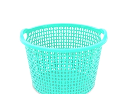 can-xe-nhua-dan-giai-phap-van-chuyen-nong-thuy-san-ben-bi-tiet-kiem