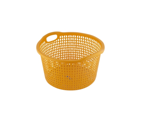 can-xe-kieu-2