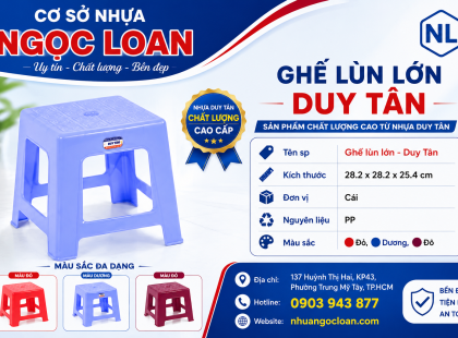 ghe-lun-lon-gia-si-tai-hcm