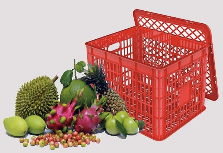 song-nhua-dung-cu-qua